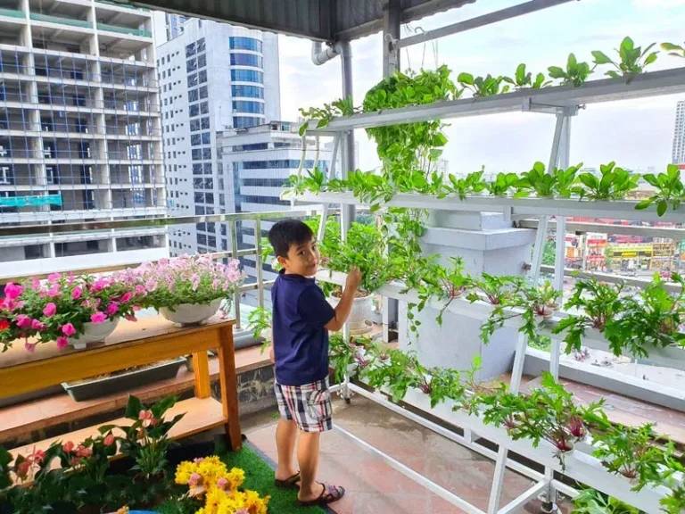 Lợp mái tôn có trồng rau được không?