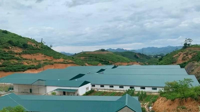 Tấm Lợp Mái Nhà Bằng Nhựa: Giải Pháp Chống Nắng Mưa Tốt Nhất Cho Mọi Công Trình