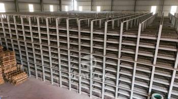 Nhà Máy Gạch Không Nung 20.000 Viên/Ngày Cần Bao Nhiêu Pallet Để Vận Hành Hiệu Quả?