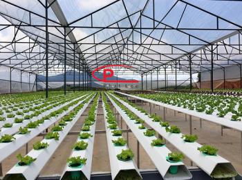 Cung cấp tấm lấy sáng dùng trong nông nghiệp