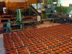 So sánh pallet PVC và pallet sắt