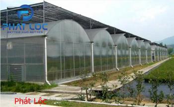 Đặc điểm nổi bật tấm lấy sáng
