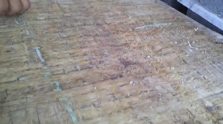 Pallet tre gỗ bị mục nát sau thời gian ngắn sử dụng