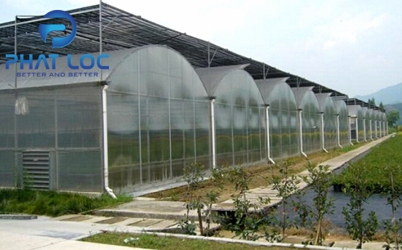 Đặc điểm nổi bật tấm lấy sáng Đặc điểm nổi bật tấm lấy sáng