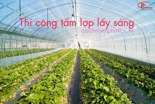 Thi công tấm lợp lấy sáng