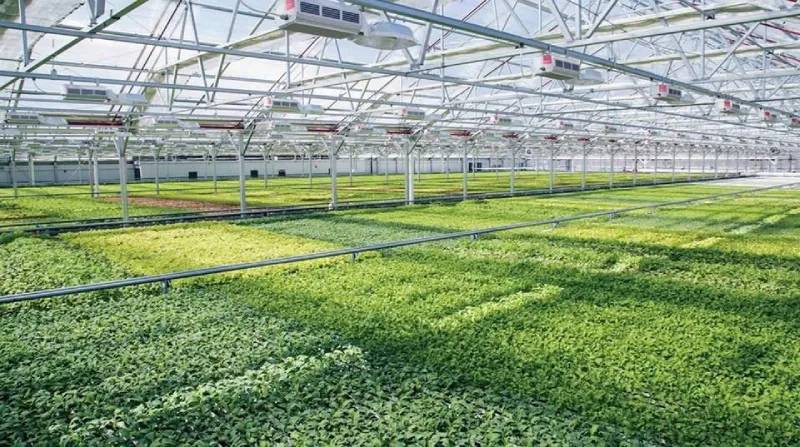 Giới thiệu mái che lấy sáng: Giải pháp hoàn hảo cho ánh sáng tự nhiên