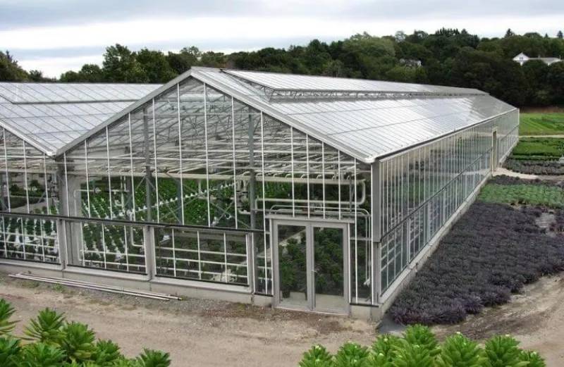 Hướng dẫn chọn lựa tấm tôn sáng phù hợp cho công trình nông nghiệp