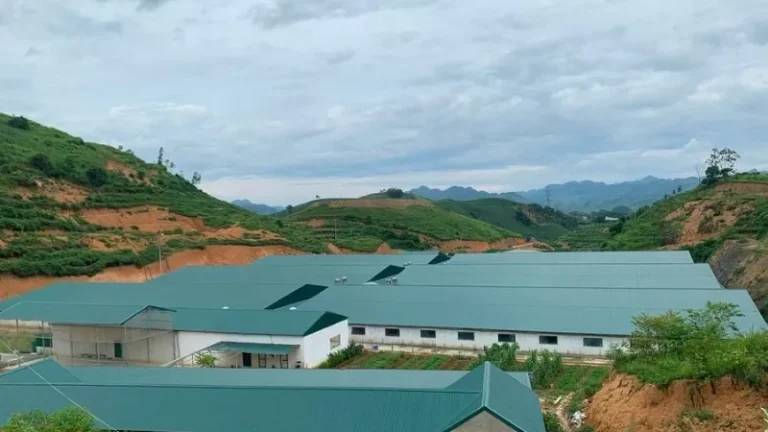 Lợp mái trang trại, khu chăn nuôi