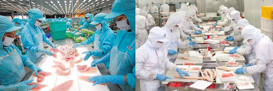 Thiết bị ngành thực phẩm và y tế