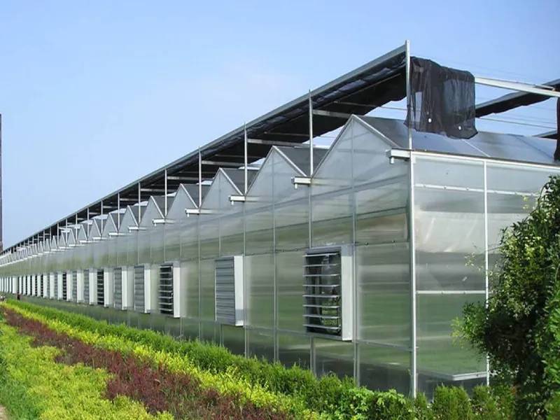 Trồng cây trong nhà xưởng